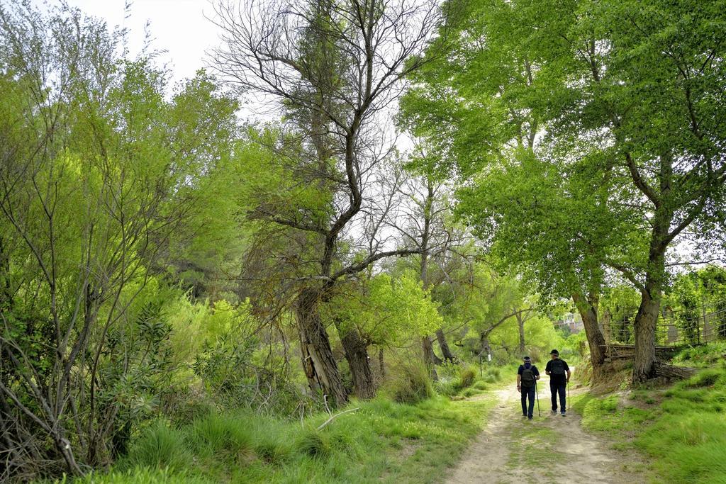 La Tahona Elche de la Sierra